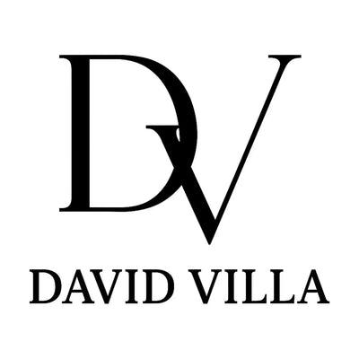 David Villa Logo - Icon Design