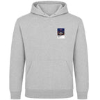 Declan Rice West Ham United Icons in Lights Frame Men's Hoodie in Gray