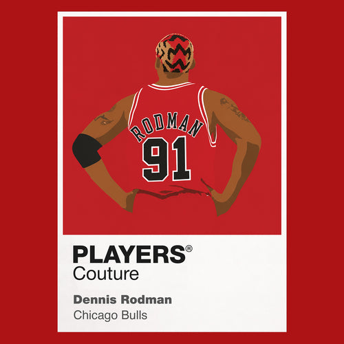Dennis Rodman Bulls Basketball Icon Frame - Icon Design (View 7)