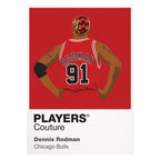 Dennis Rodman Bulls Basketball Icon Frame - Icon Design