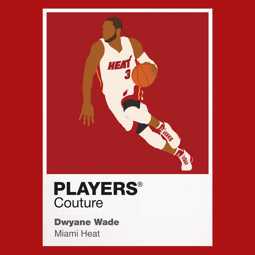 Dwyane Wade Heat Basketball Icon Frame - Icon Design (View 6)