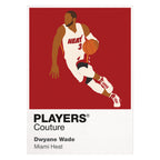Dwyane Wade Heat Basketball Icon Frame - Icon Design (View 7)