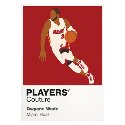 Dwyane Wade Heat Basketball Icon Frame - Icon Design (View 7)
