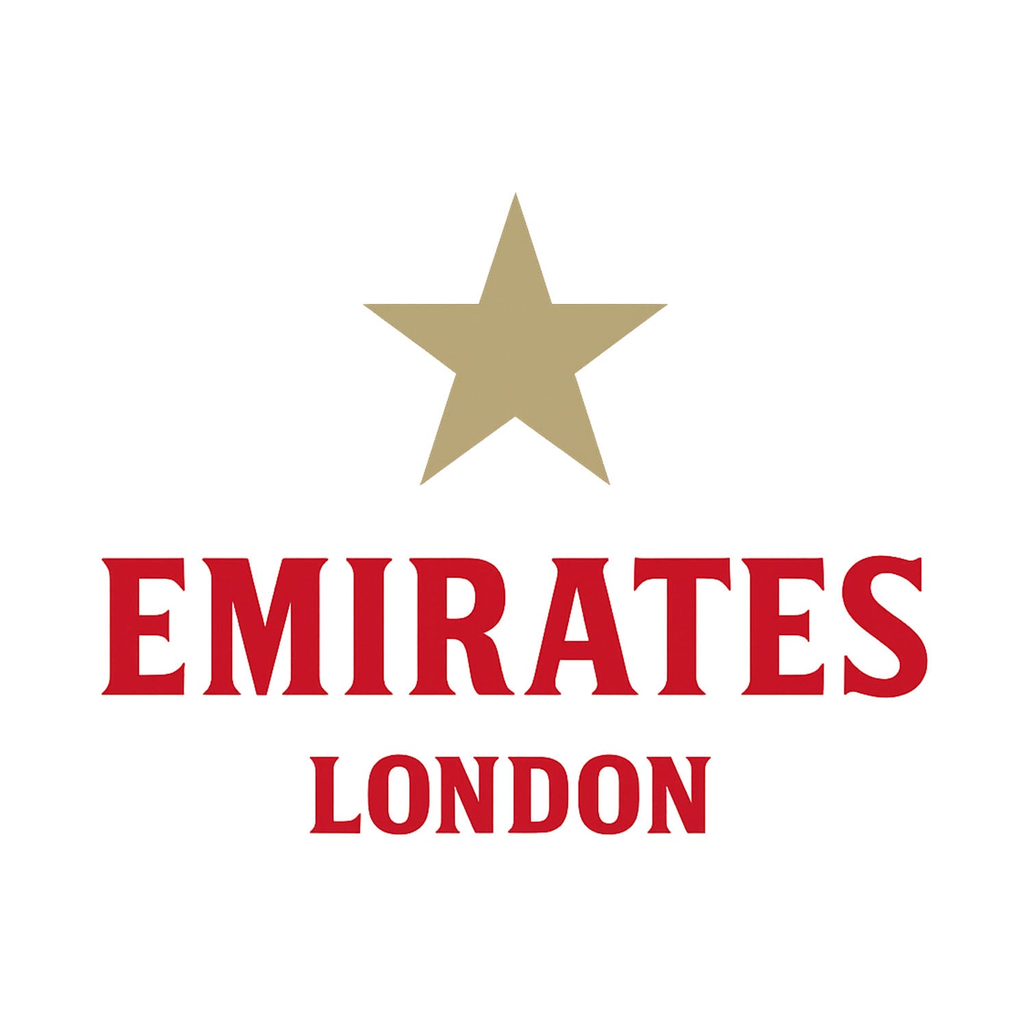 Emirates Stadium Logo Players Couture Men's Casual Hoodie