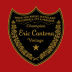 Eric Cantona Logo 2 Players Couture Men's Casual Hoodie