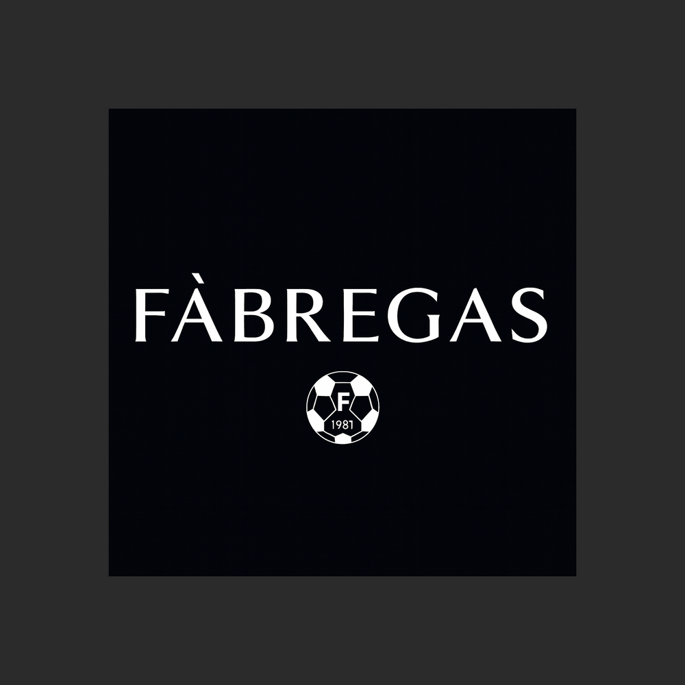 Cesc Fabregas Logo Players Couture Men's Casual Hoodie