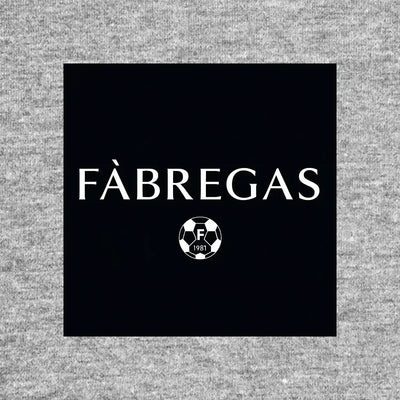Cesc Fabregas Logo - Icon Design (View 6)