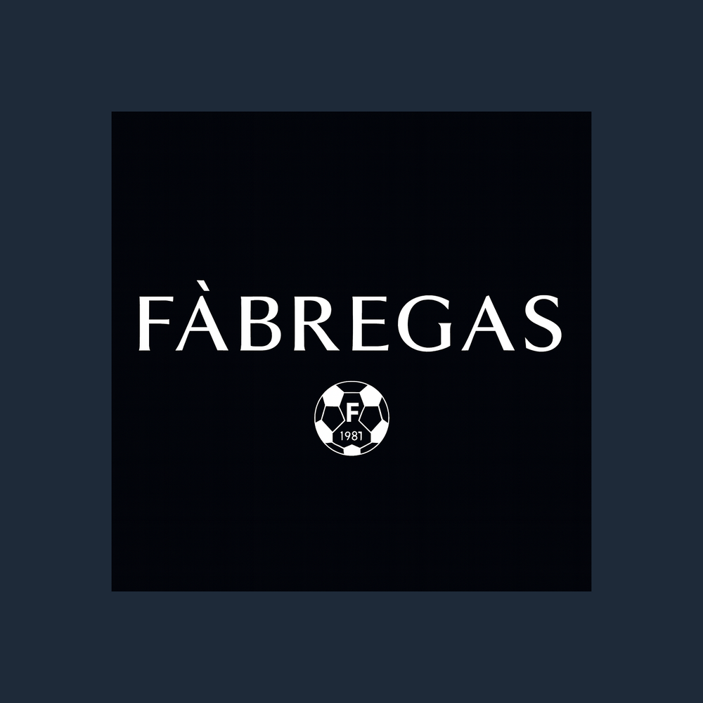 Cesc Fabregas Logo Players Couture Men's Casual Hoodie