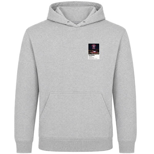 Fernando Torres Atlético Madrid Icons in Lights Frame Men's Hoodie in Gray