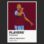 Gabriel Agbonlahor Aston Villa Icon Frame Men's T-Shirt