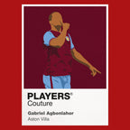 Gabriel Agbonlahor Aston Villa Icon Frame — art card and garment shots
