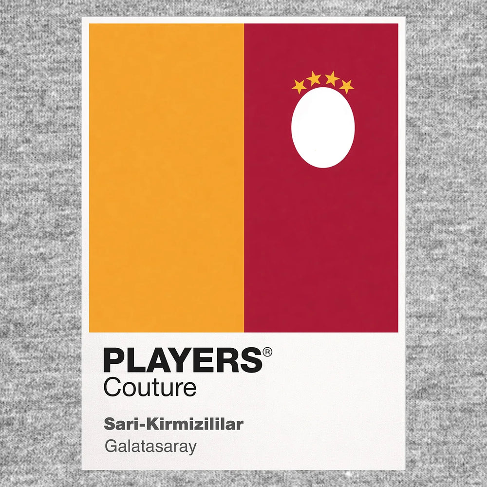 Galatasaray Classic Football Shirt Team Colours Frame Men's T-Shirt – grey close-up detail shot of the Galatasaray Players