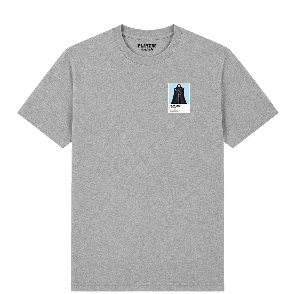 Jon Snow Game of Thrones men's T-shirt in grey