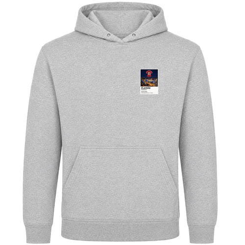 Gareth Bale Wales Icons in Lights Frame Men's Hoodie in Gray