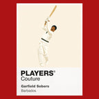 Garfield Sobers Cricket Icon Frame - Icon Design (View 10)