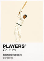 Garfield Sobers Cricket Icon Frame - Icon Design (View 9)