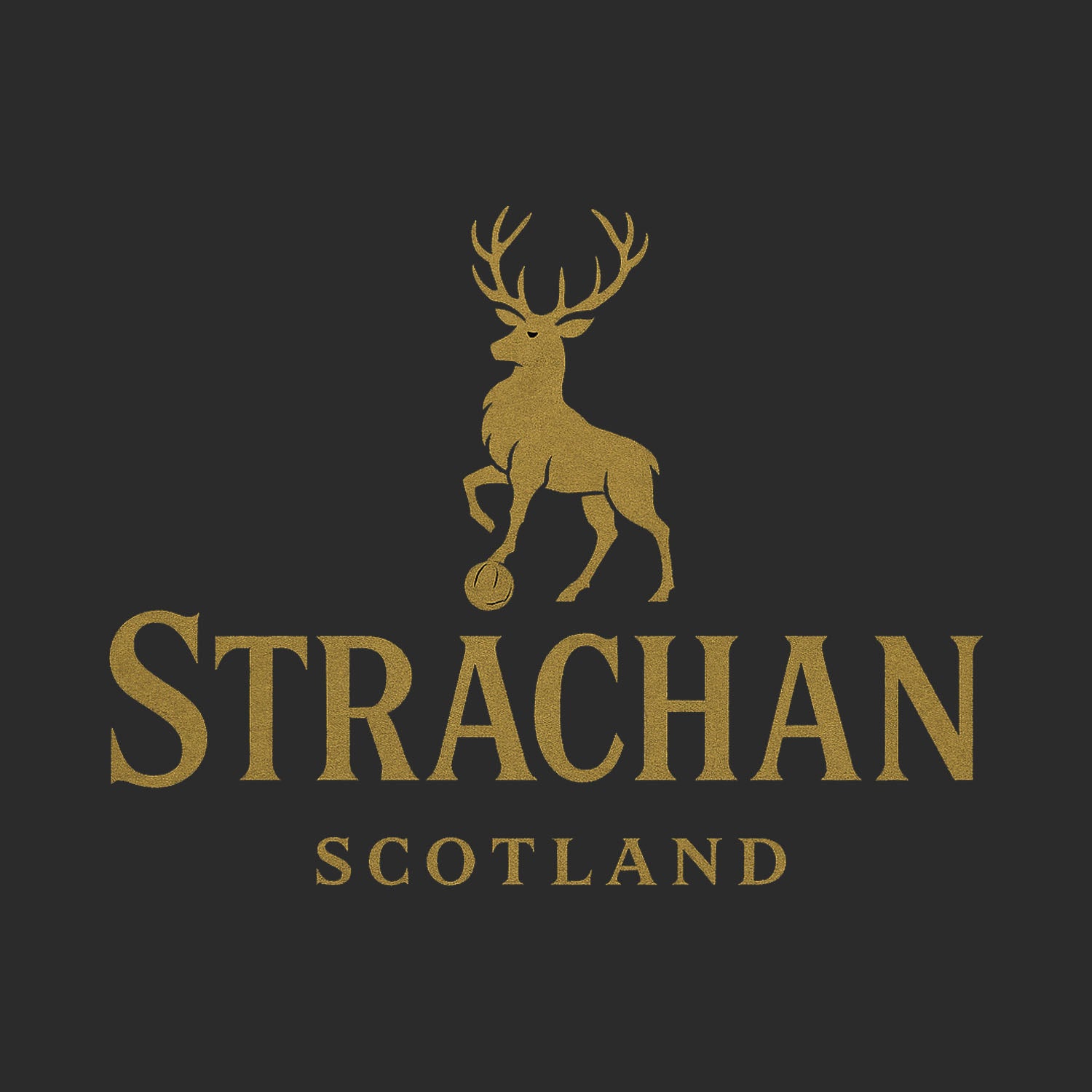 Gordon Strachan Logo Players Couture Men's T-Shirt