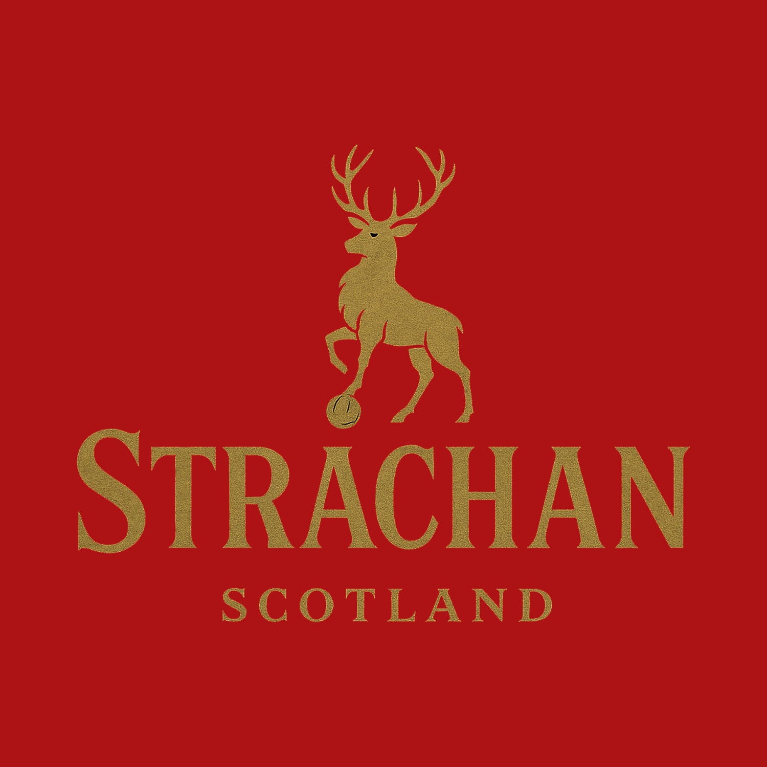 Gordon Strachan Logo Players Couture Men's T-Shirt