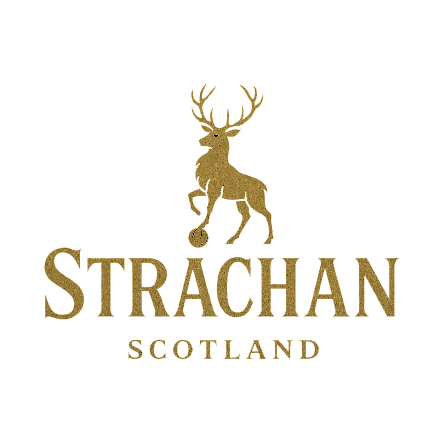 Gordon Strachan Logo Players Couture Men's T-Shirt