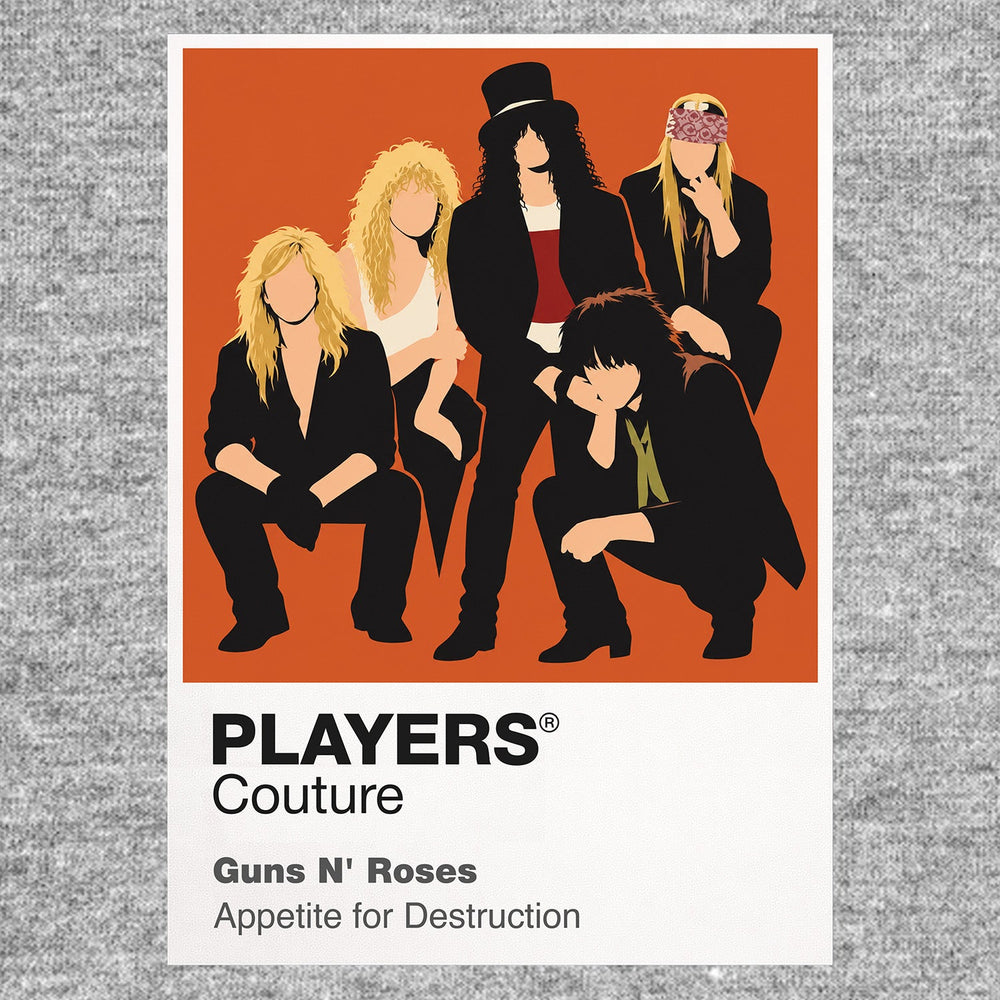 Guns N' Roses the classic Axl Rose and Slash-era visual language of Los Angeles hard rock Icon Frame artwork in grey