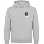 Home Alone Home Alone men's hoodie in grey