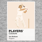 Ian Botham Cricket Icon Frame - Icon Design (View 15)