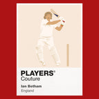 Ian Botham Cricket Icon Frame - Icon Design (View 14)