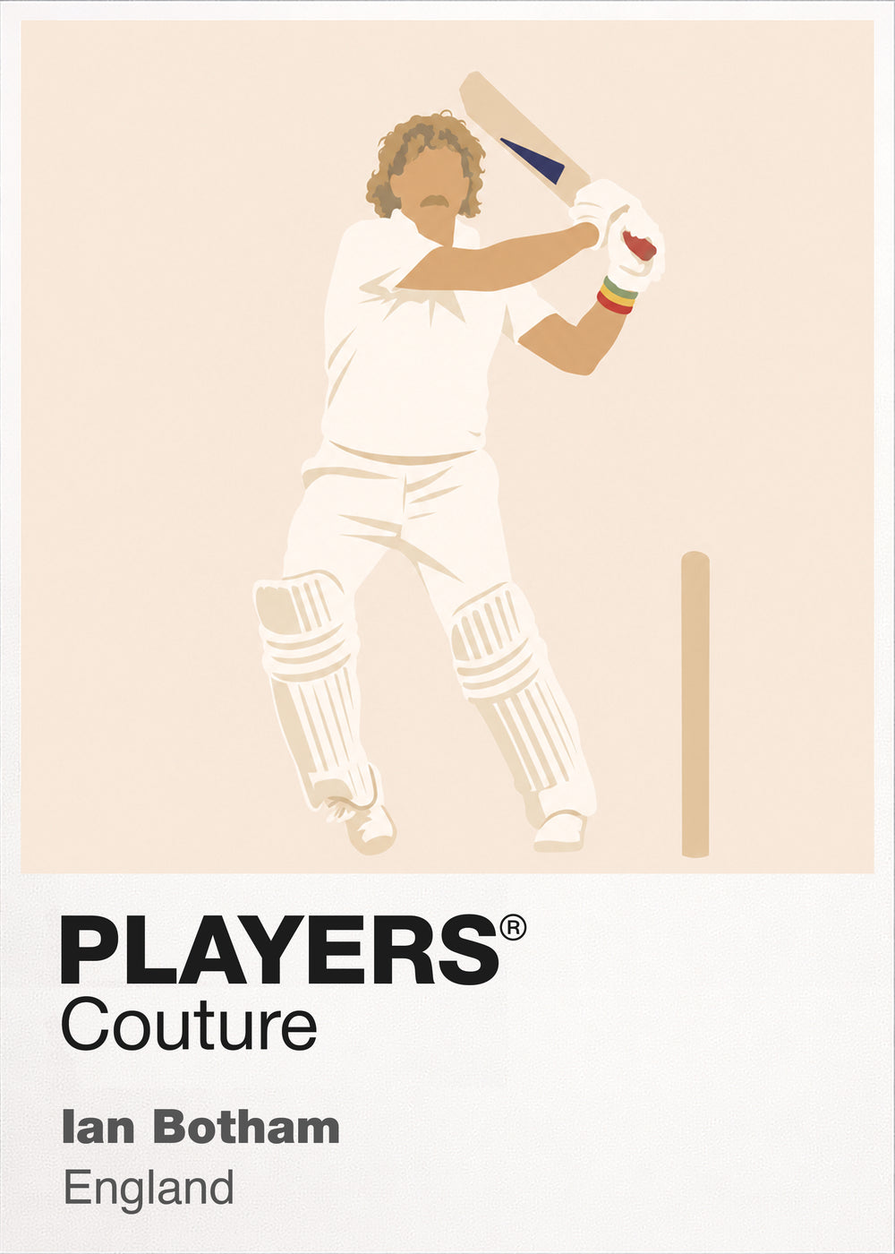 Ian Botham Cricket Icon Frame - Icon Design (View 9)