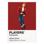 James Dean – Rebel Without a Cause Jim Stark in red windbreaker against the night-time observatory and Los Angeles skyline Icon Frame artwork on white