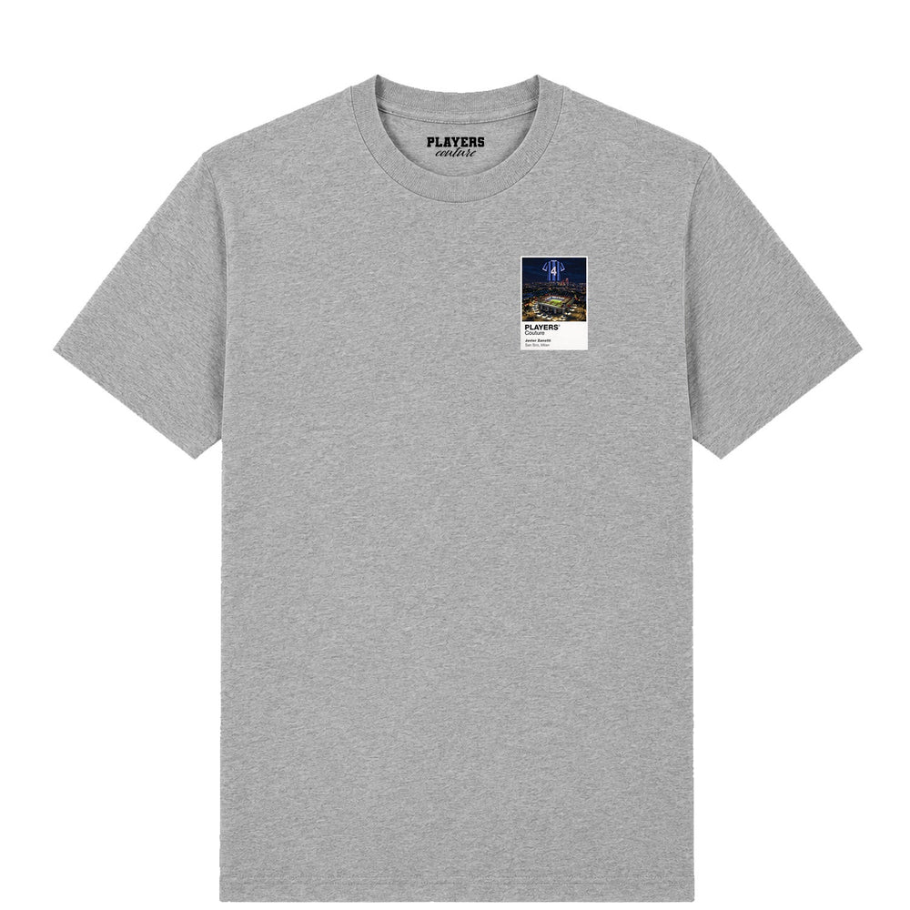 Javier Zanetti Inter Milan Icons in Lights Frame Men's T-Shirt in Gray