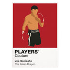 Joe Calzaghe Boxing Icon Frame - Icon Design (View 8)