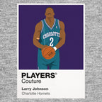 Larry Johnson Hornets Basketball Icon Frame - Icon Design (View 7)