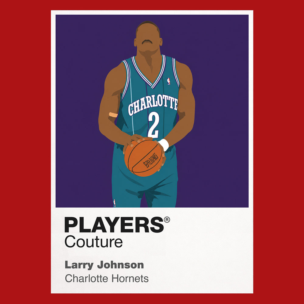 Larry Johnson Hornets Basketball Icon Frame - Icon Design (View 8)