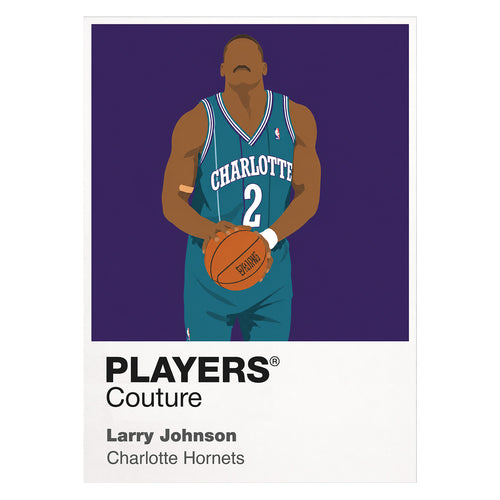 Larry Johnson Hornets Basketball Icon Frame - Icon Design (View 6)