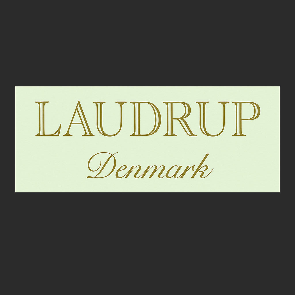 Laudrup Logo Players Couture Men's Casual Hoodie