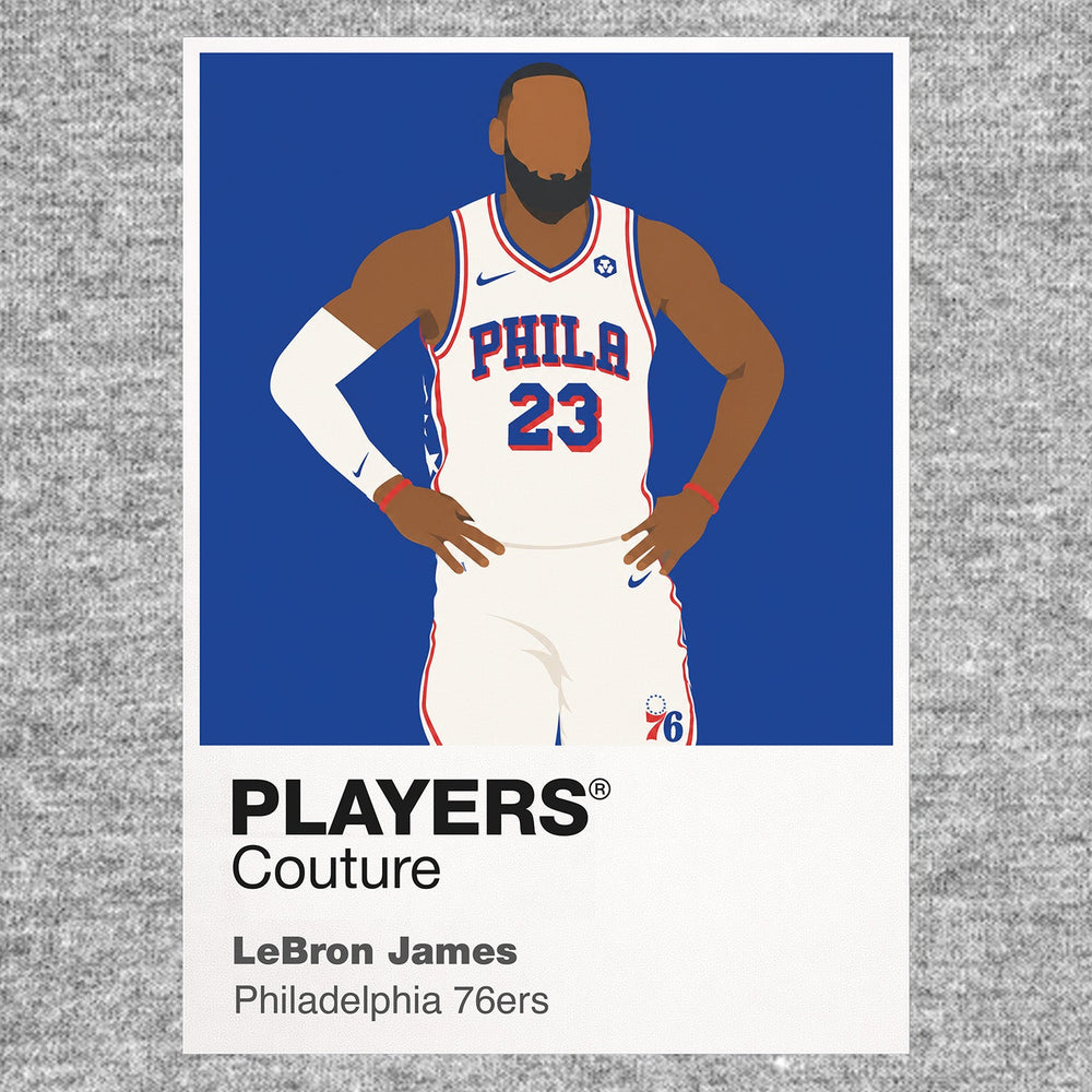 LeBron James Philadelphia 76ers grey Icon Frame artwork detail