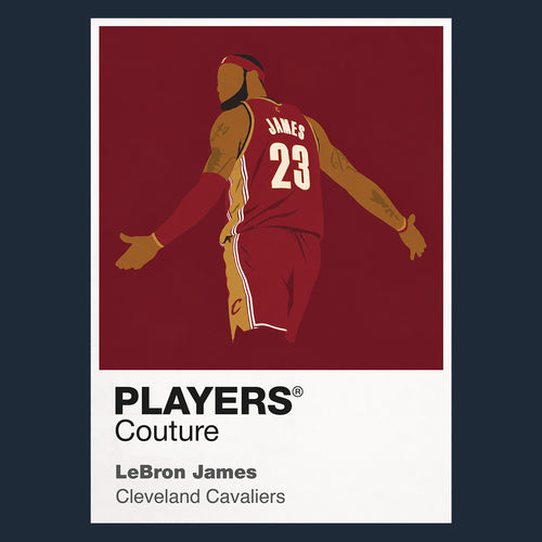 LeBron James Cavaliers Basketball Icon Frame - Icon Design