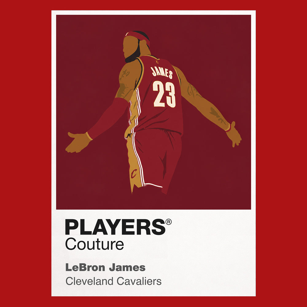 LeBron James Cavaliers Basketball Icon Frame - Icon Design (View 8)