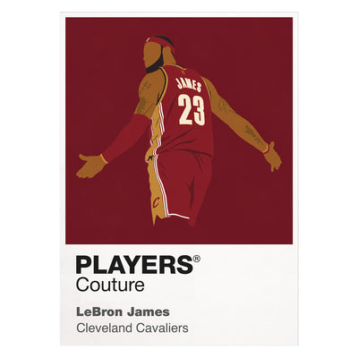 LeBron James Cavaliers Basketball Icon Frame - Icon Design (View 7)