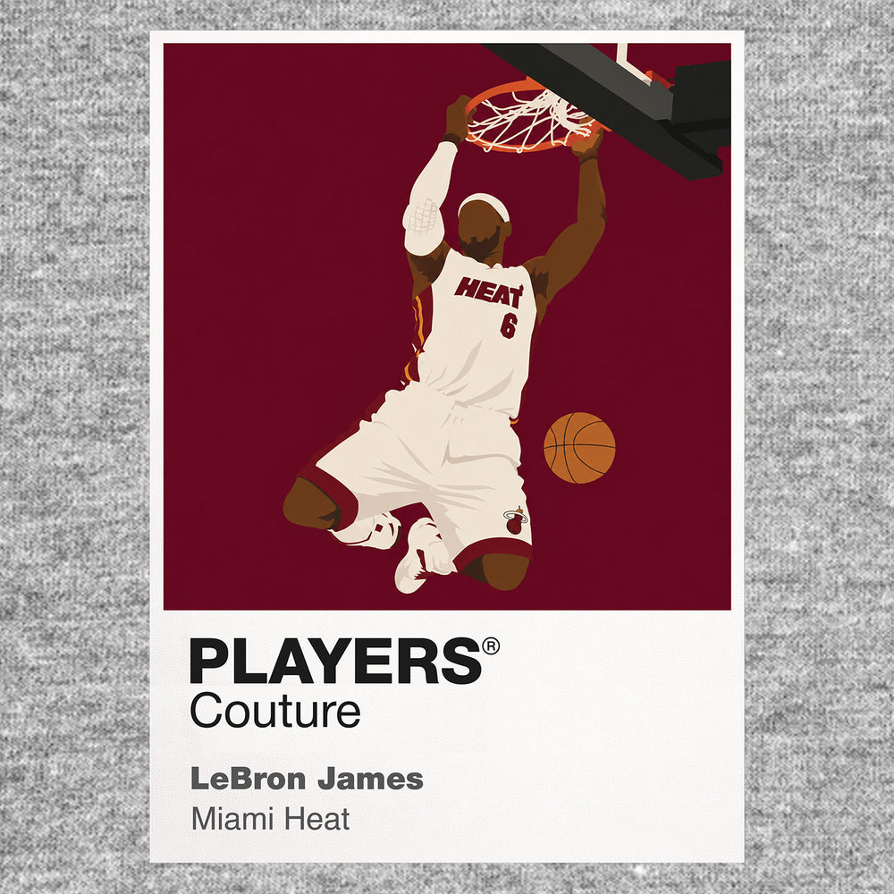 LeBron James Heat Basketball Icon Frame - Icon Design (View 7)