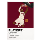 LeBron James Heat Basketball Icon Frame - Icon Design
