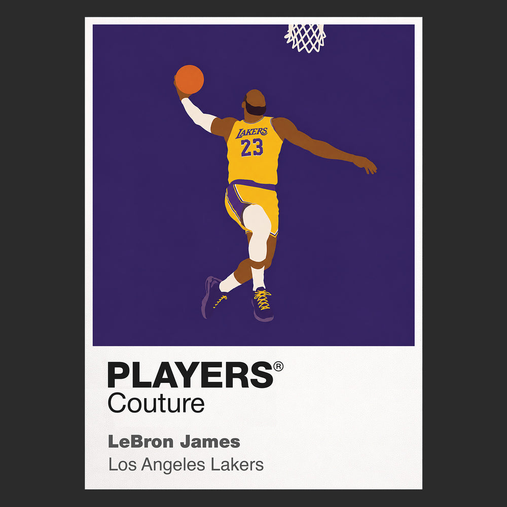LeBron James Lakers Basketball Icon Frame Men's Hoodie
