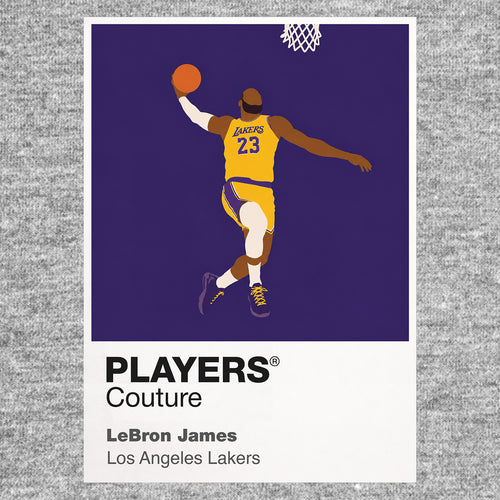 LeBron James Lakers Basketball Icon Frame - Icon Design (View 7)