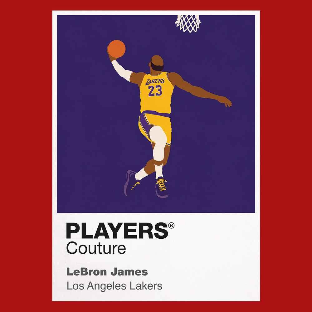 LeBron James Lakers Basketball Icon Frame Men's Hoodie