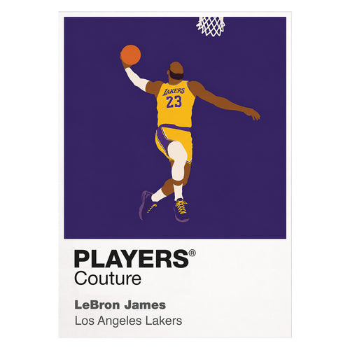 LeBron James Lakers Basketball Icon Frame - Icon Design