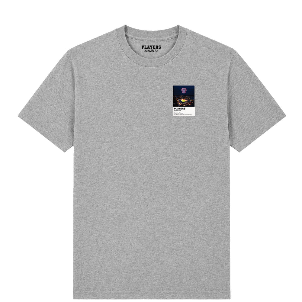 Matt Le Tissier Southampton Icons in Lights Frame Men's T-Shirt in Gray
