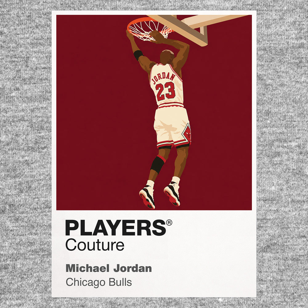 Michael Jordan Bulls 2 Basketball Icon Frame Men's Hoodie