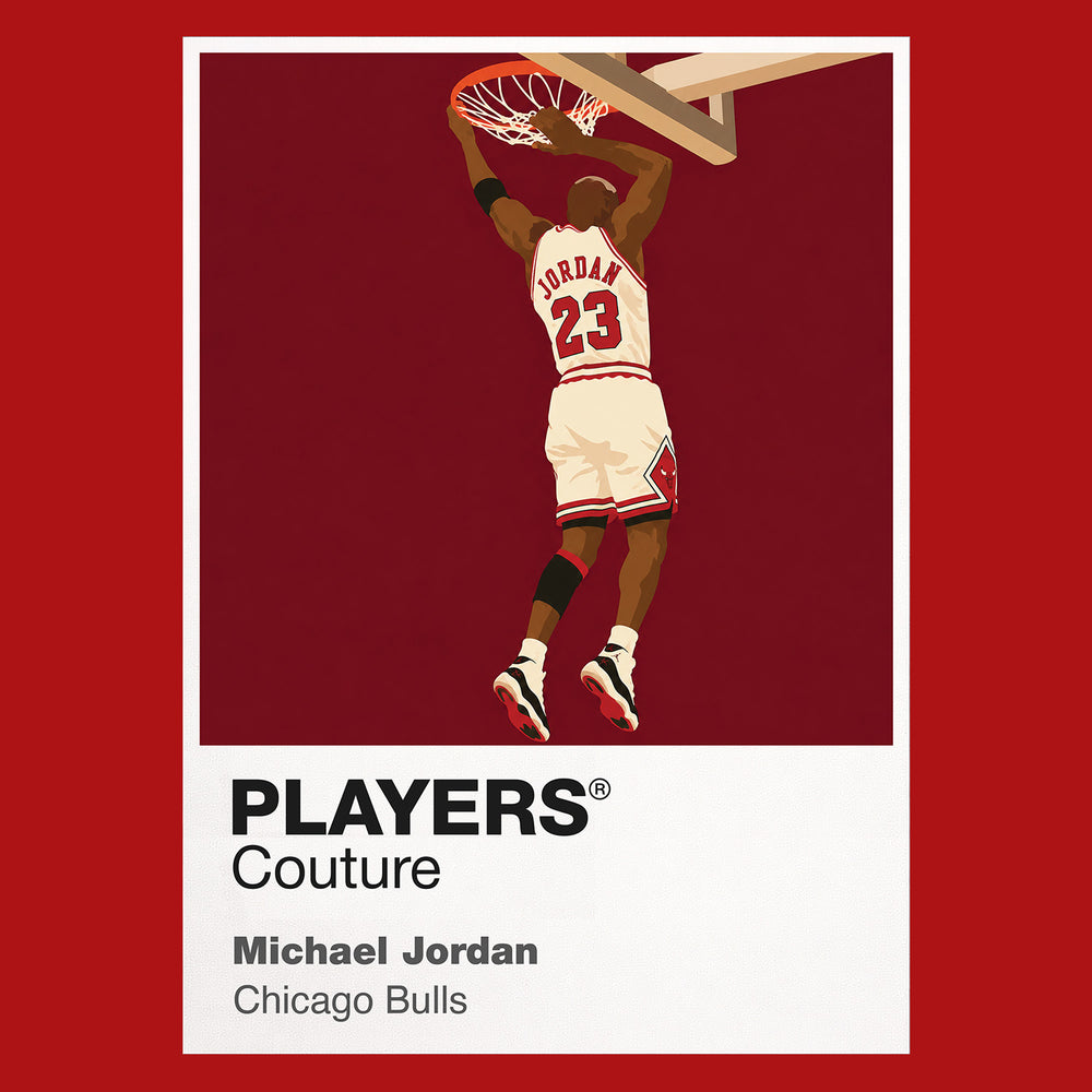 Michael Jordan Bulls 2 Basketball Icon Frame Men's Hoodie