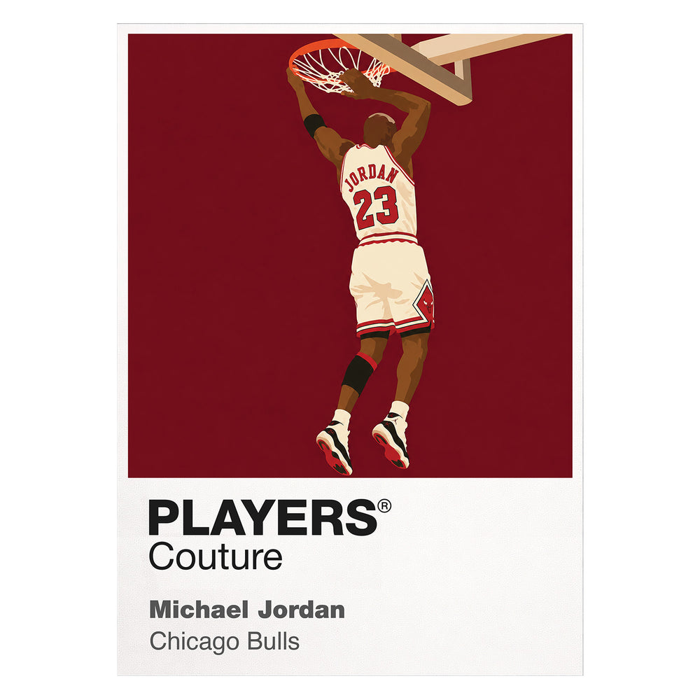 Michael Jordan Bulls 2 Basketball Icon Frame Men's Hoodie