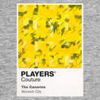Norwich City Classic Football Shirt Colours Frame Men's T-Shirt – grey close-up detail shot of the Norwich City Players
